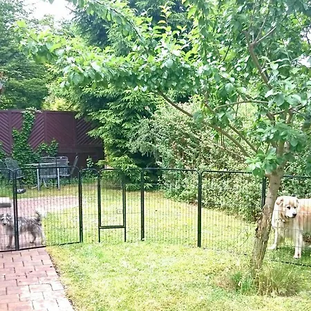 Wolf Mit Kaminofen Apartment *